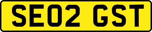 SE02GST