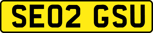 SE02GSU