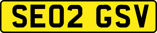 SE02GSV
