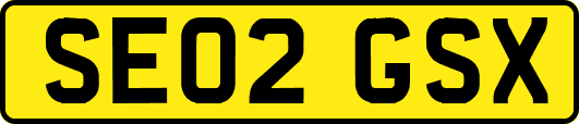 SE02GSX