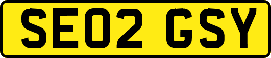 SE02GSY