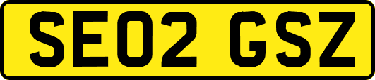 SE02GSZ
