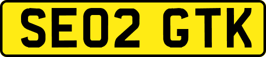 SE02GTK