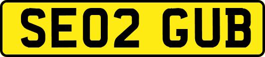 SE02GUB