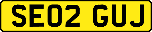 SE02GUJ