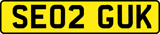 SE02GUK