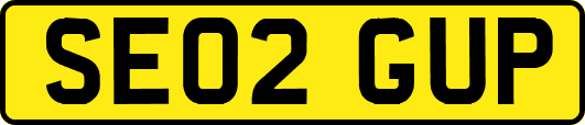 SE02GUP