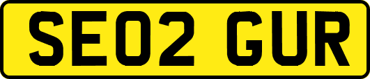 SE02GUR