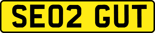 SE02GUT