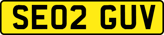 SE02GUV