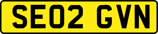 SE02GVN