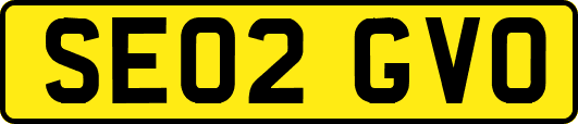 SE02GVO