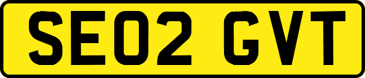 SE02GVT