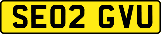 SE02GVU