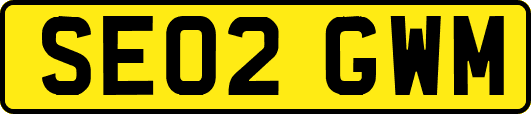 SE02GWM