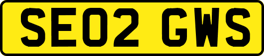 SE02GWS