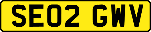 SE02GWV