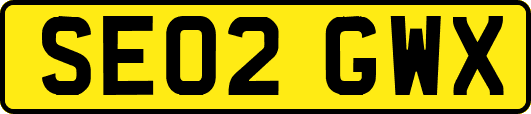 SE02GWX