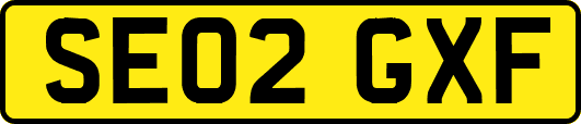 SE02GXF