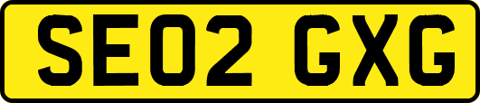 SE02GXG