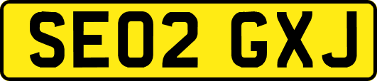SE02GXJ