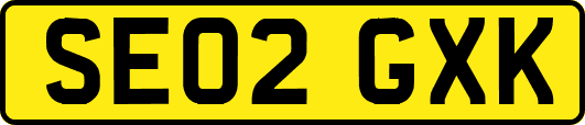 SE02GXK