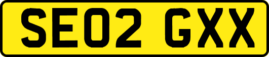 SE02GXX