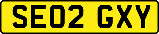 SE02GXY