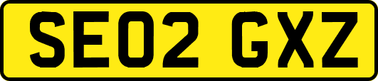 SE02GXZ