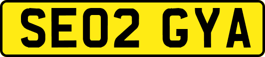 SE02GYA