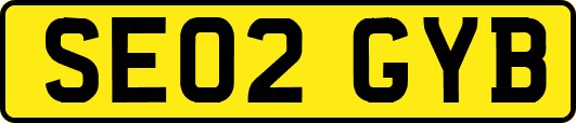 SE02GYB