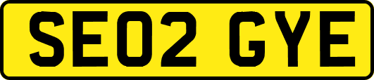 SE02GYE