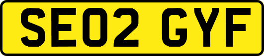 SE02GYF