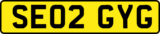 SE02GYG