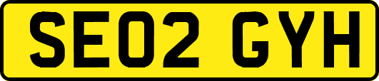 SE02GYH