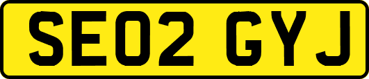 SE02GYJ