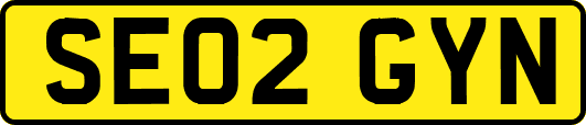 SE02GYN