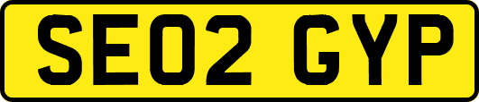 SE02GYP