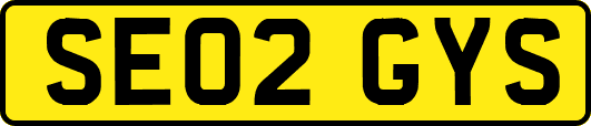 SE02GYS