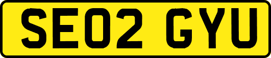 SE02GYU