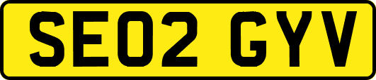 SE02GYV