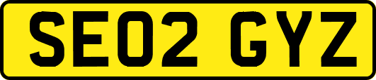 SE02GYZ