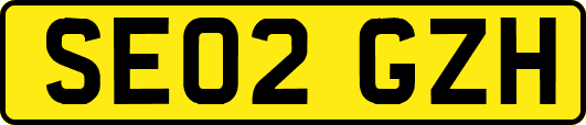 SE02GZH