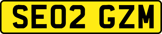 SE02GZM