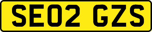 SE02GZS