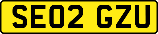 SE02GZU