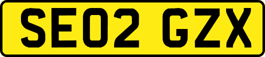 SE02GZX