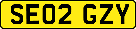 SE02GZY