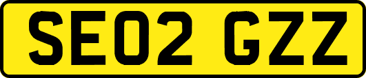 SE02GZZ