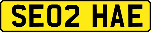 SE02HAE